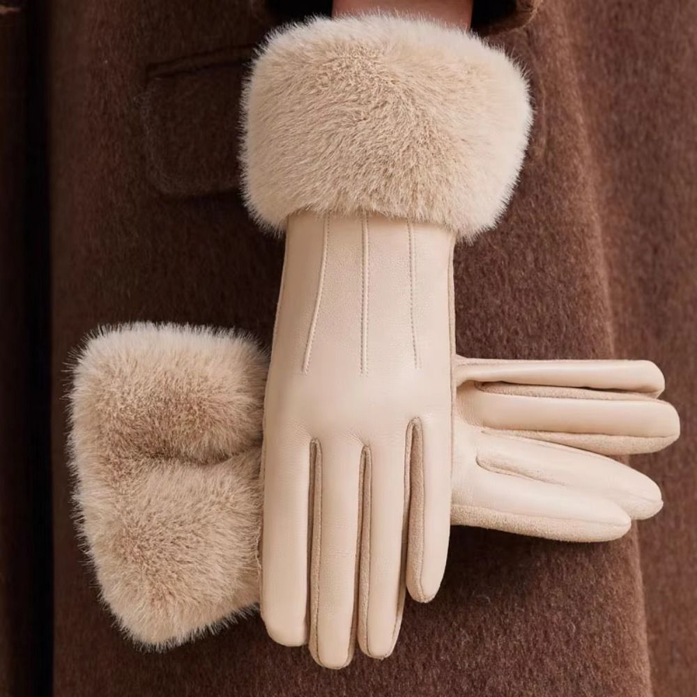 Thermal Lined Women's Leather  - Winter Glove Insulated ulasan dan harga